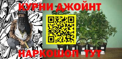 гашик Бердск