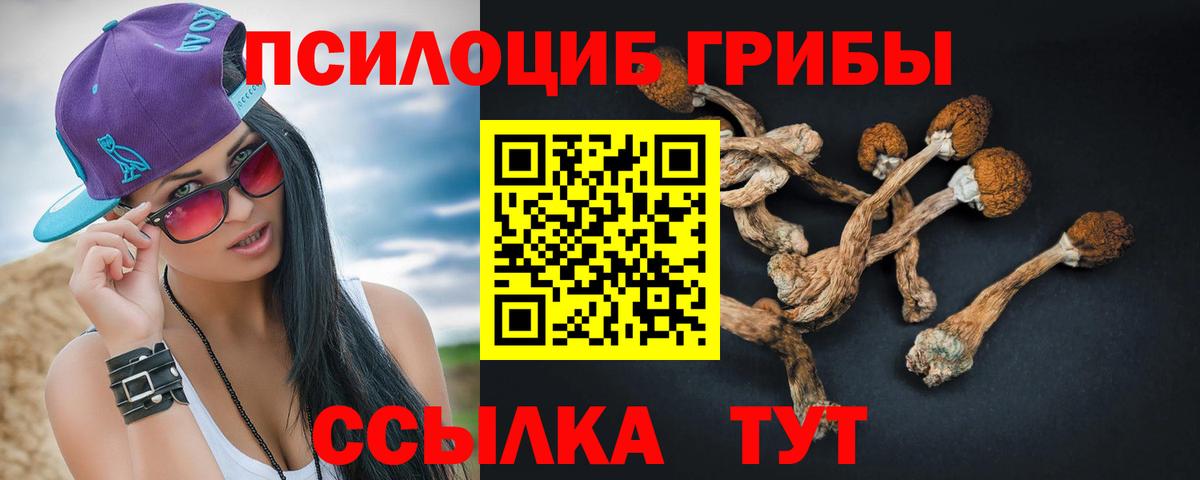 Псилоцибиновые грибы Psilocybine cubensis  Вход с VPN  Галлюциногенные грибы ЛСД  Протвино 