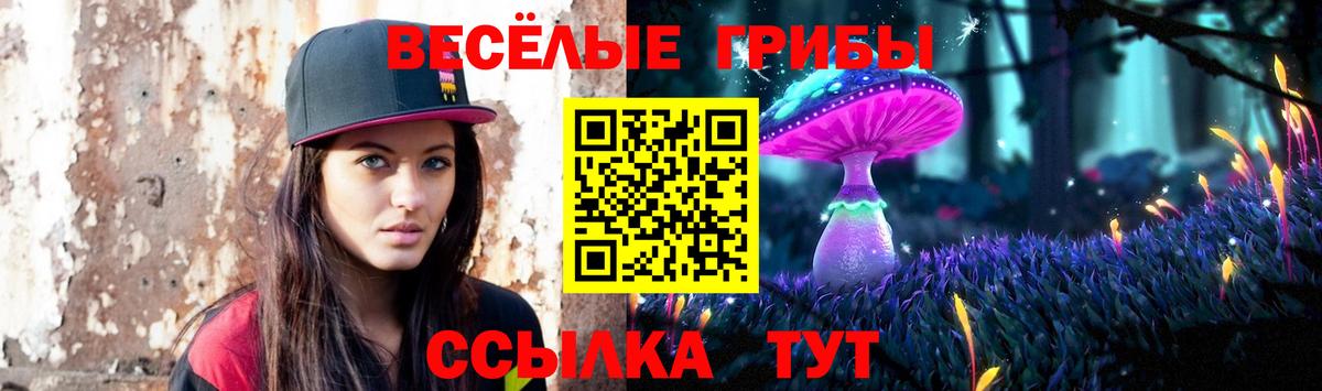 Псилоцибиновые грибы MAGIC MUSHROOMS Протвино